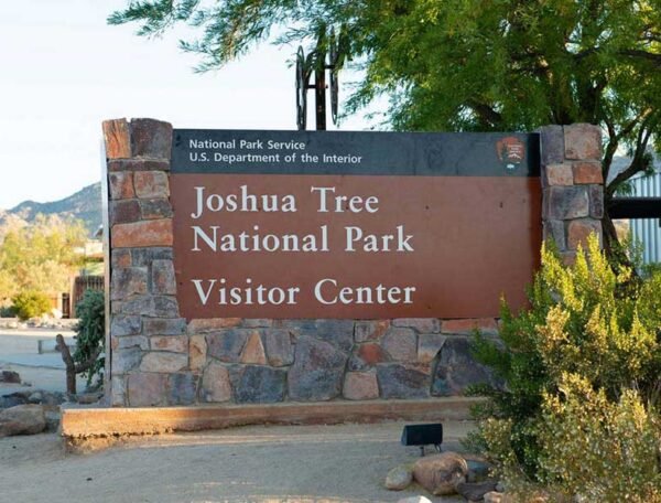 Visiting Joshua Tree National Park is essential for short term rental guests.