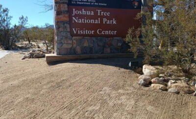 Places to visit in Joshua Tree